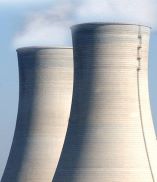 Nuclear Service Valves